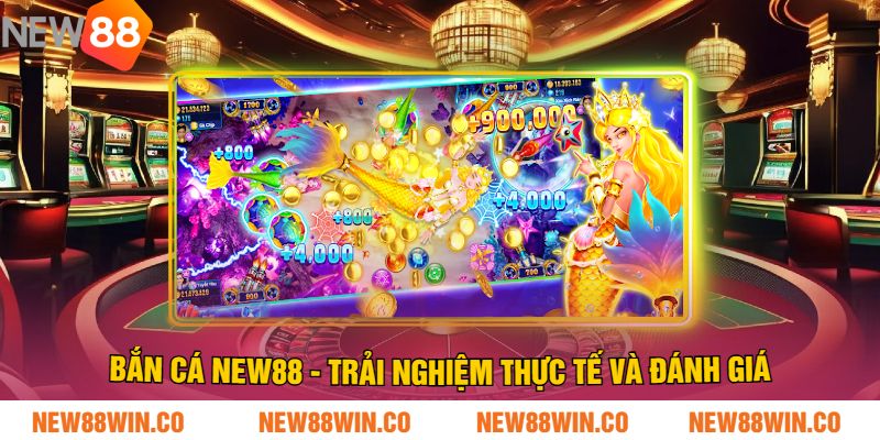 Bắn Cá NEW88 - Trải Nghiệm Thực Tế Và Đánh Giá