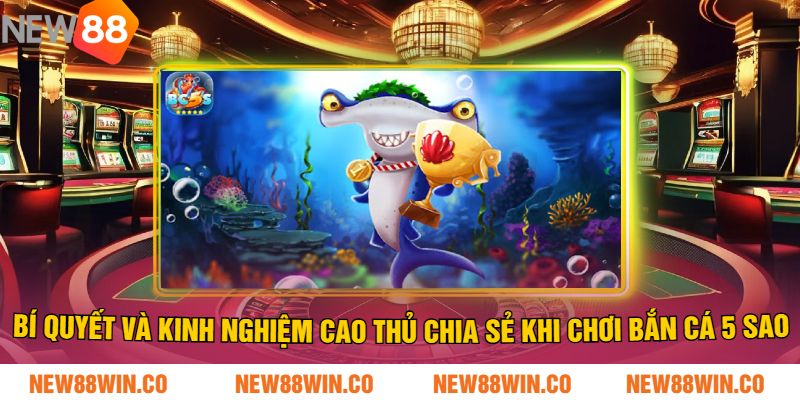 Bí quyết và kinh nghiệm Cao Thủ chia sẻ khi chơi bắn cá 5 sao