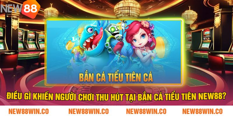 Điều gì khiến người chơi thu hút tại Bắn cá tiểu tiên NEW88?