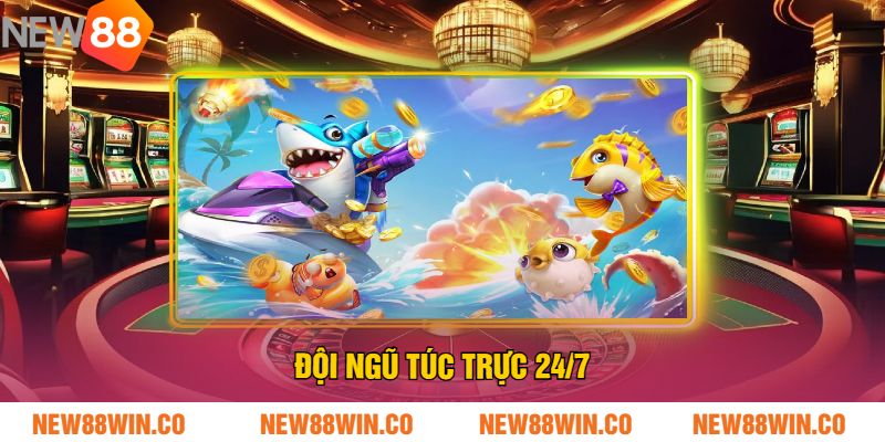 Đội ngũ túc trực 247