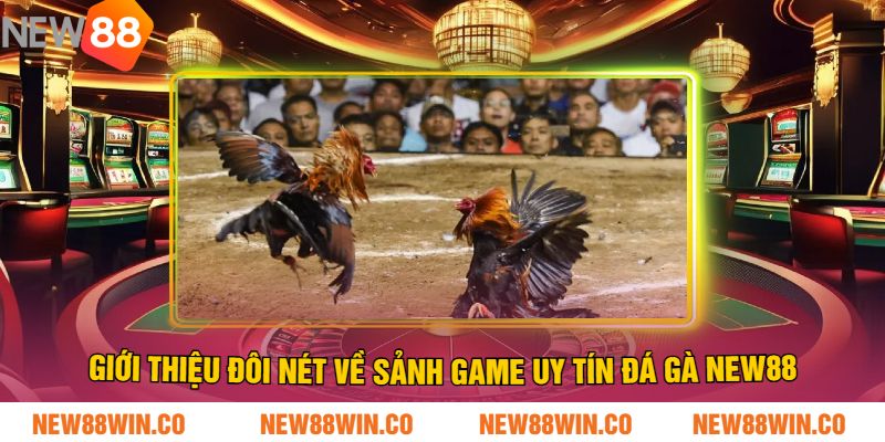 Giới thiệu đôi nét về sảnh game uy tín Đá Gà NEW88