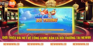 Giới thiệu vài nét về cổng game bắn cá đổi thưởng tại NEW88