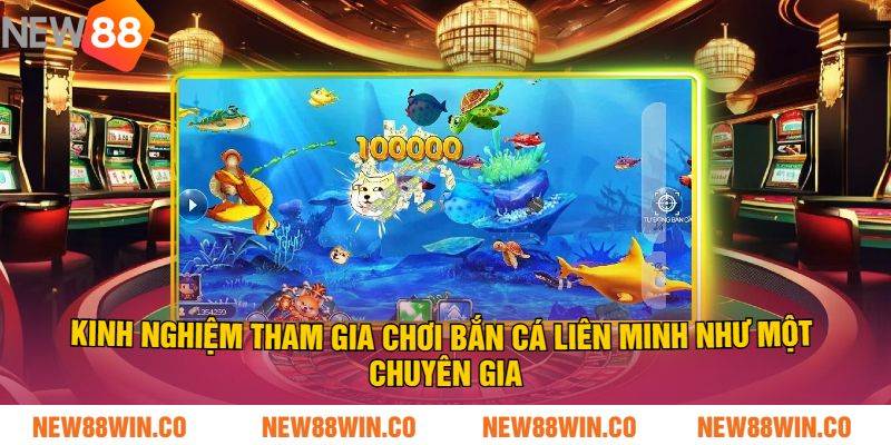 Kinh nghiệm tham gia chơi Bắn Cá Liên Minh như một chuyên gia