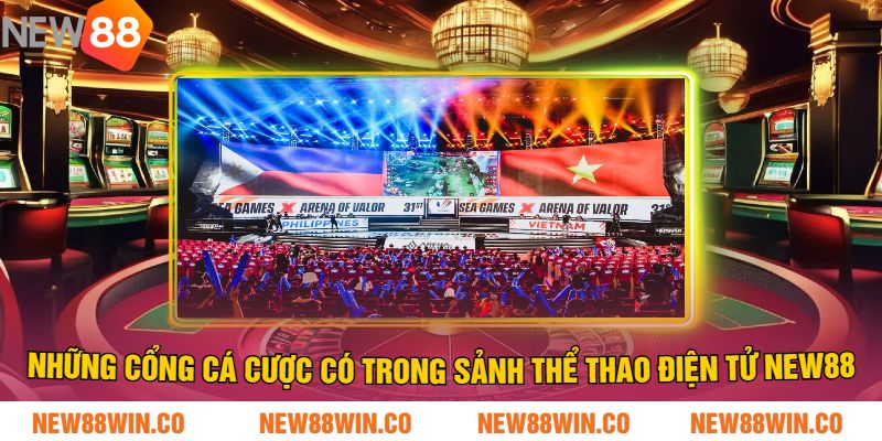 Những Cổng Cá Cược Có Trong Sảnh Thể Thao Điện Tử NEW88