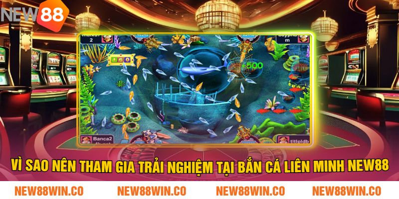 Vì sao nên tham gia trải nghiệm tại Bắn Cá Liên Minh NEW88